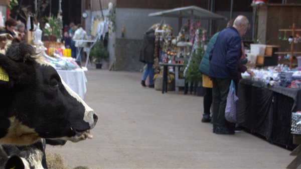 Wintermarkt Mildam