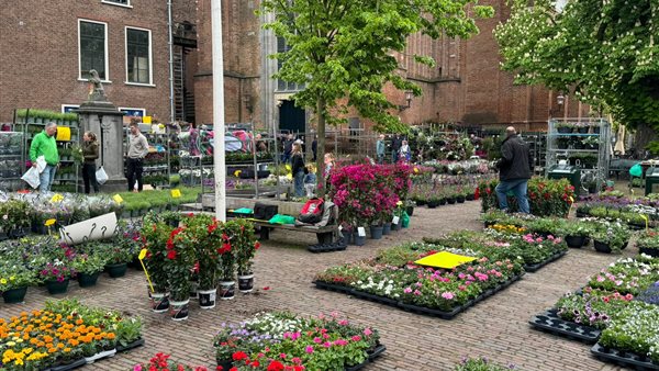 Geranium- en Groenmarkt Wijk bij Duurstede